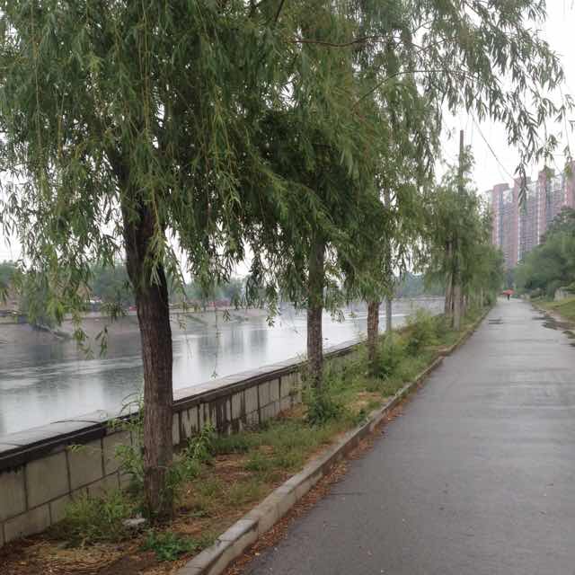 邵花溪